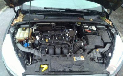 ford-focus-2015-1fadp3k21fl364129-img10